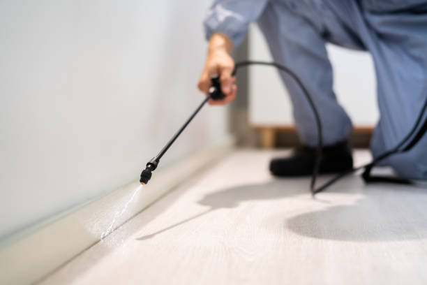 Professional exterminator conducting IPM assessment in China Grove